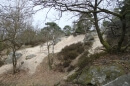forêt des Grands Avaux